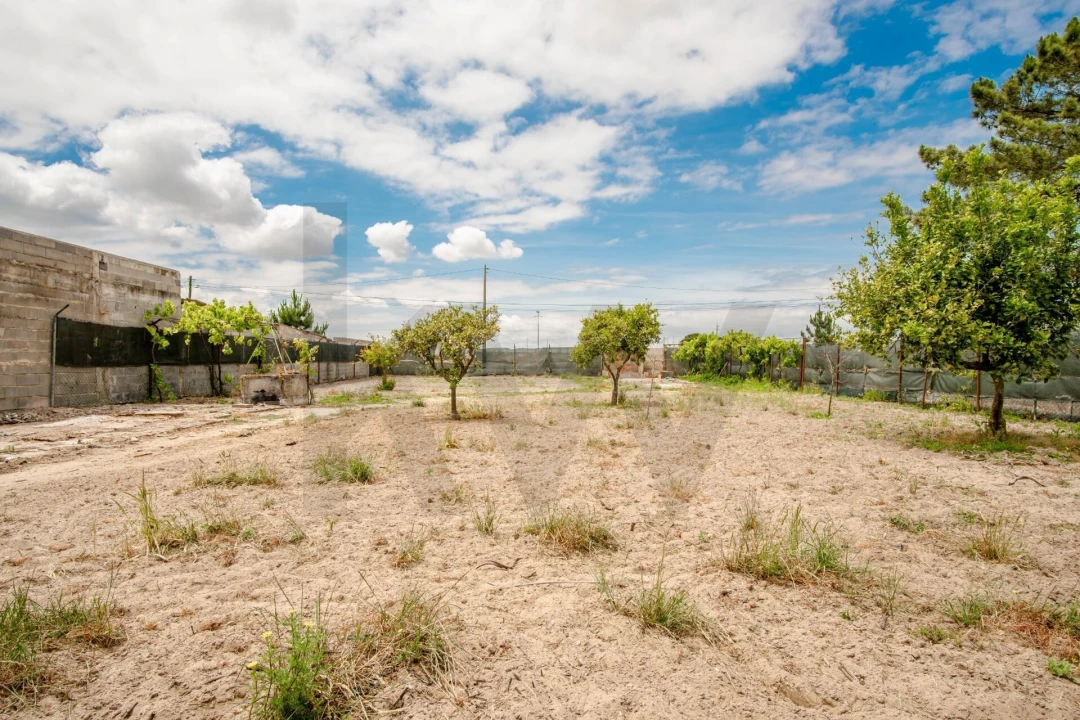Terreno para Venda em Quinta do Anjo Foto 2