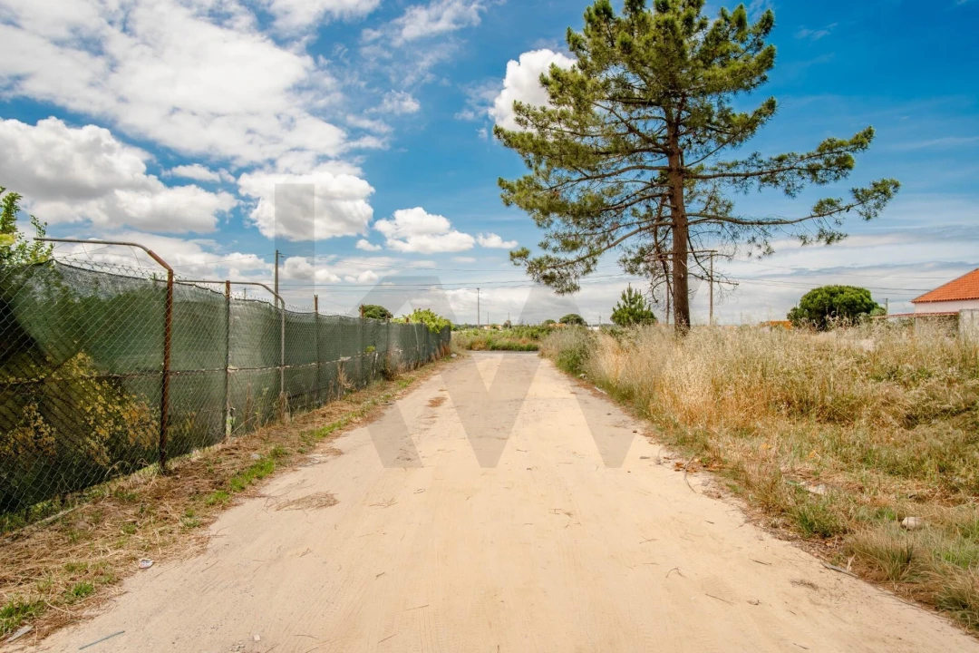 Terreno para Venda em Quinta do Anjo Foto 16