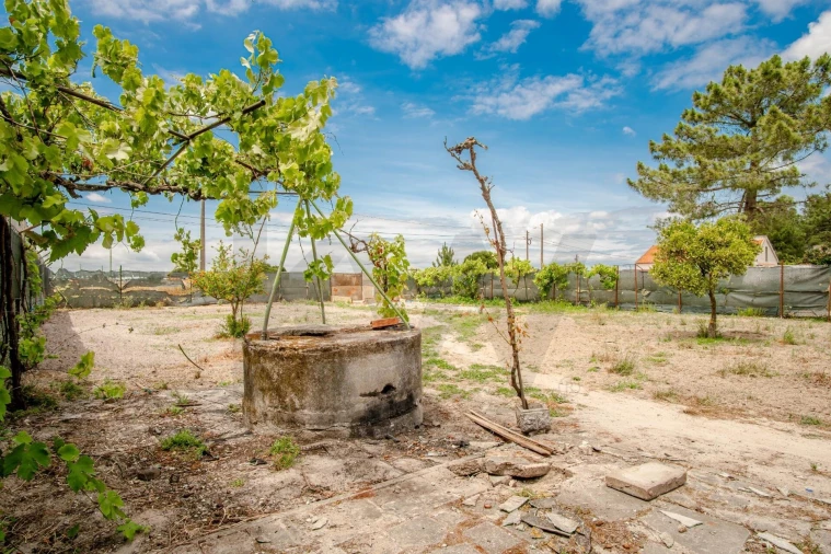 Terreno para Venda em Quinta do Anjo Foto 12