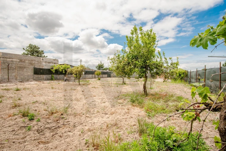 Terreno para Venda em Quinta do Anjo Foto 3