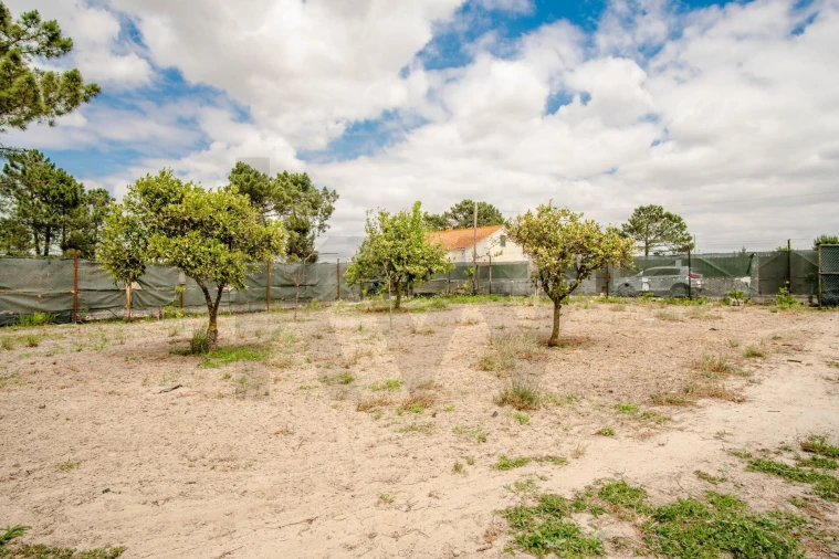 Terreno para Venda em Quinta do Anjo Foto 10