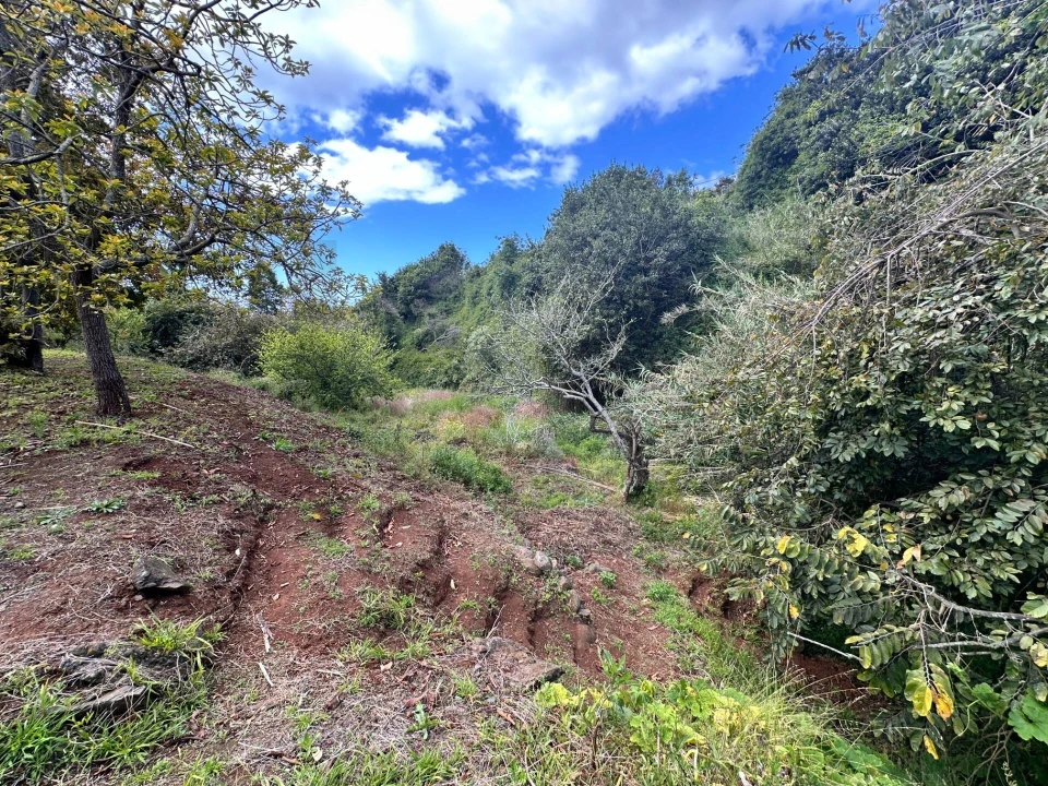 Terreno para Venda em Caniço Foto 12