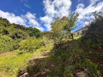 Terreno para Venda em Caniço