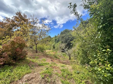 Terreno para Venda em Caniço