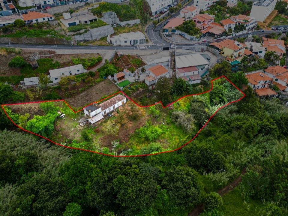 Terreno para Venda em Caniço Foto 8