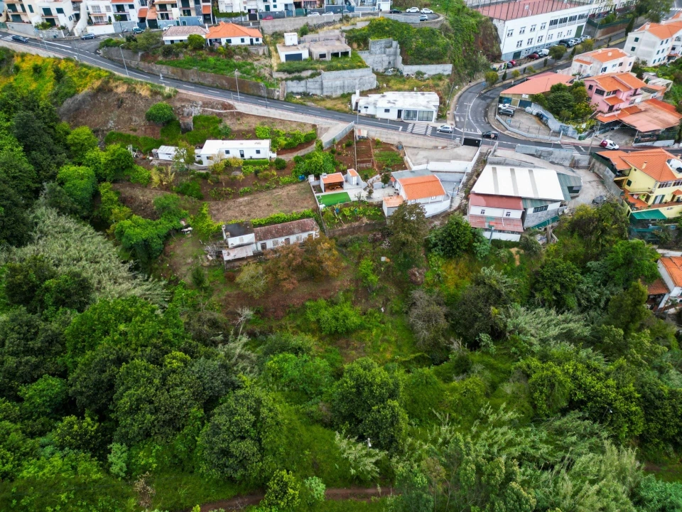 Terreno para Venda em Caniço Foto 6