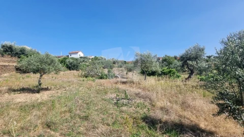 Moradia para Venda em Santo Andre das Tojeiras