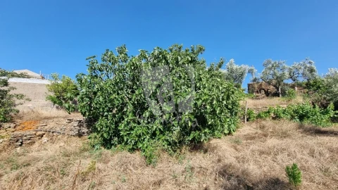Moradia para Venda em Santo Andre das Tojeiras
