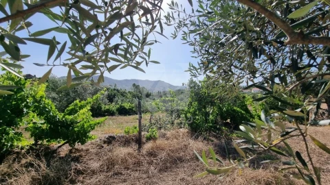 Moradia para Venda em Santo Andre das Tojeiras