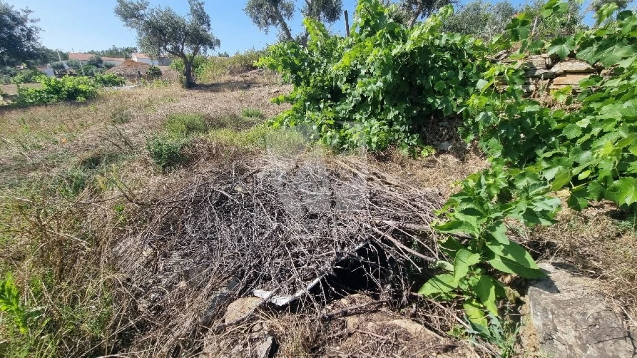 Moradia para Venda em Santo Andre das Tojeiras Foto 25
