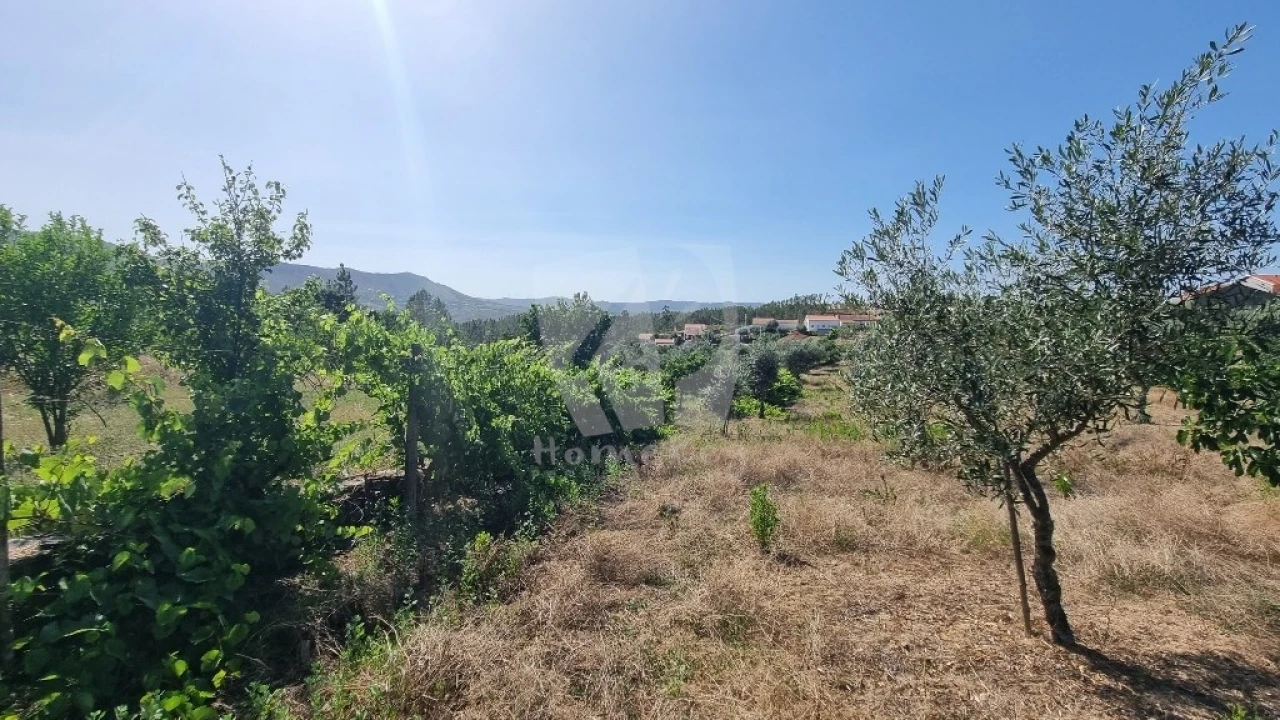 Moradia para Venda em Santo Andre das Tojeiras Foto 35