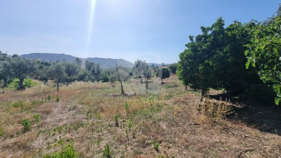 Moradia para Venda em Santo Andre das Tojeiras Foto 17