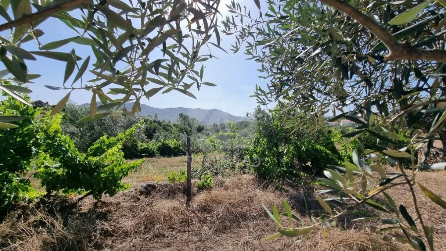 Moradia para Venda em Santo Andre das Tojeiras Foto 4