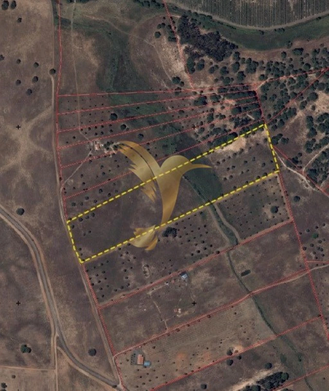Terreno Agricola ou Rústico para Venda em Ferreira do Alentejo e Canhestros Foto 1