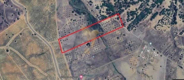 Terreno Agricola ou Rústico para Venda em Ferreira do Alentejo e Canhestros