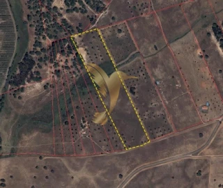 Terreno Agricola ou Rústico para Venda em Ferreira do Alentejo e Canhestros