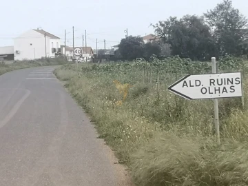 Terreno Agricola ou Rústico para Venda em Ferreira do Alentejo e Canhestros