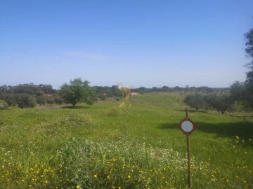 Terreno Agricola ou Rústico para Venda em Ferreira do Alentejo e Canhestros