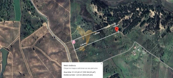 Terreno Agricola ou Rústico para Venda em Ferreira do Alentejo e Canhestros