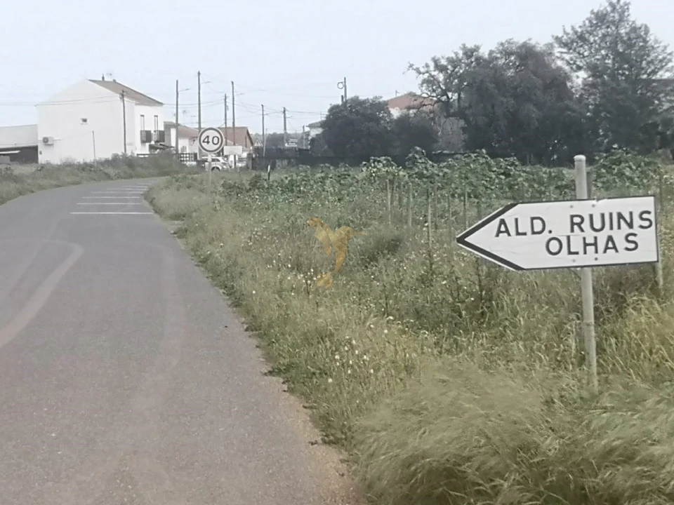 Terreno Agricola ou Rústico para Venda em Ferreira do Alentejo e Canhestros Foto 6