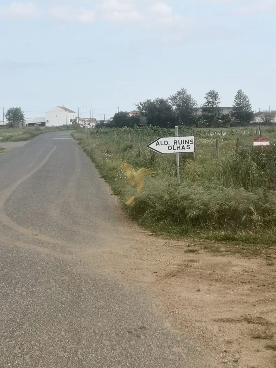 Terreno Agricola ou Rústico para Venda em Ferreira do Alentejo e Canhestros Foto 7