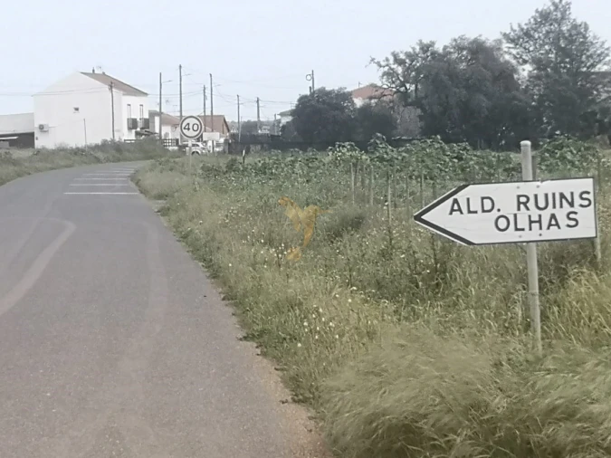 Terreno Agricola ou Rústico para Venda em Ferreira do Alentejo e Canhestros Foto 6