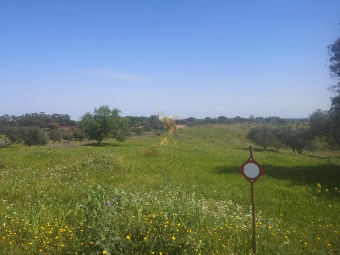 Terreno Agricola ou Rústico para Venda em Ferreira do Alentejo e Canhestros Foto 9