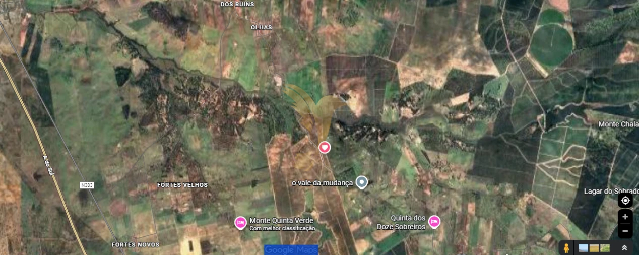 Terreno Agricola ou Rústico para Venda em Ferreira do Alentejo e Canhestros Foto 4