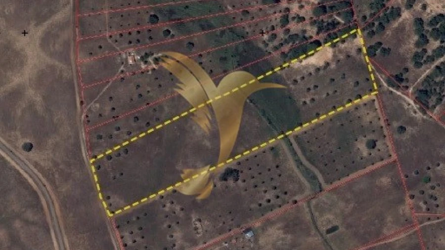 Terreno Agricola ou Rústico para Venda em Ferreira do Alentejo e Canhestros