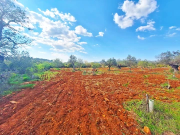 Terreno Agricola ou Rústico para Venda em Loule (São Sebastião)
