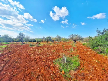 Terreno Agricola ou Rústico para Venda em Loule (São Sebastião)