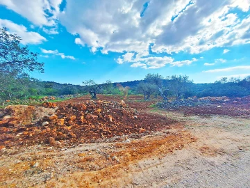 Terreno Agricola ou Rústico para Venda em Loule (São Sebastião)