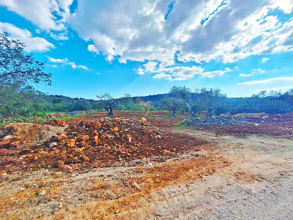 Terreno Agricola ou Rústico para Venda em Loule (São Sebastião) Foto 7