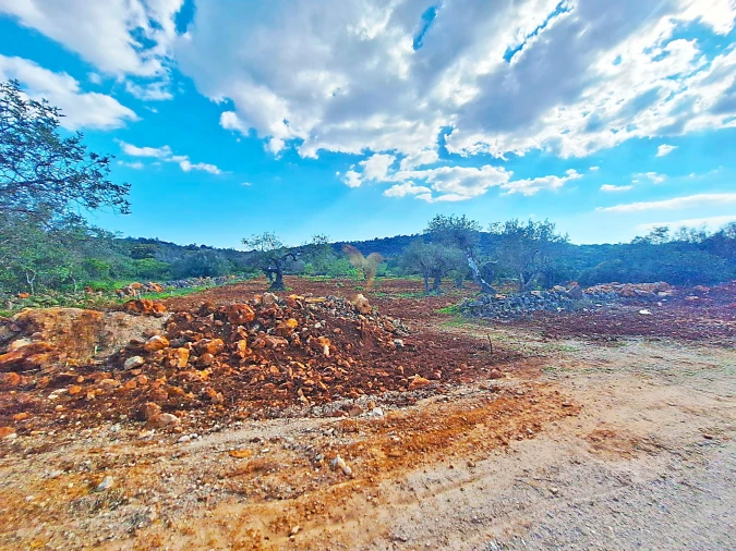 Terreno Agricola ou Rústico para Venda em Loule (São Sebastião) Foto 7