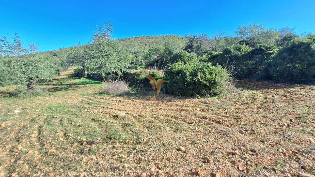 Terreno Agricola ou Rústico para Venda em Loule (São Sebastião) Foto 8