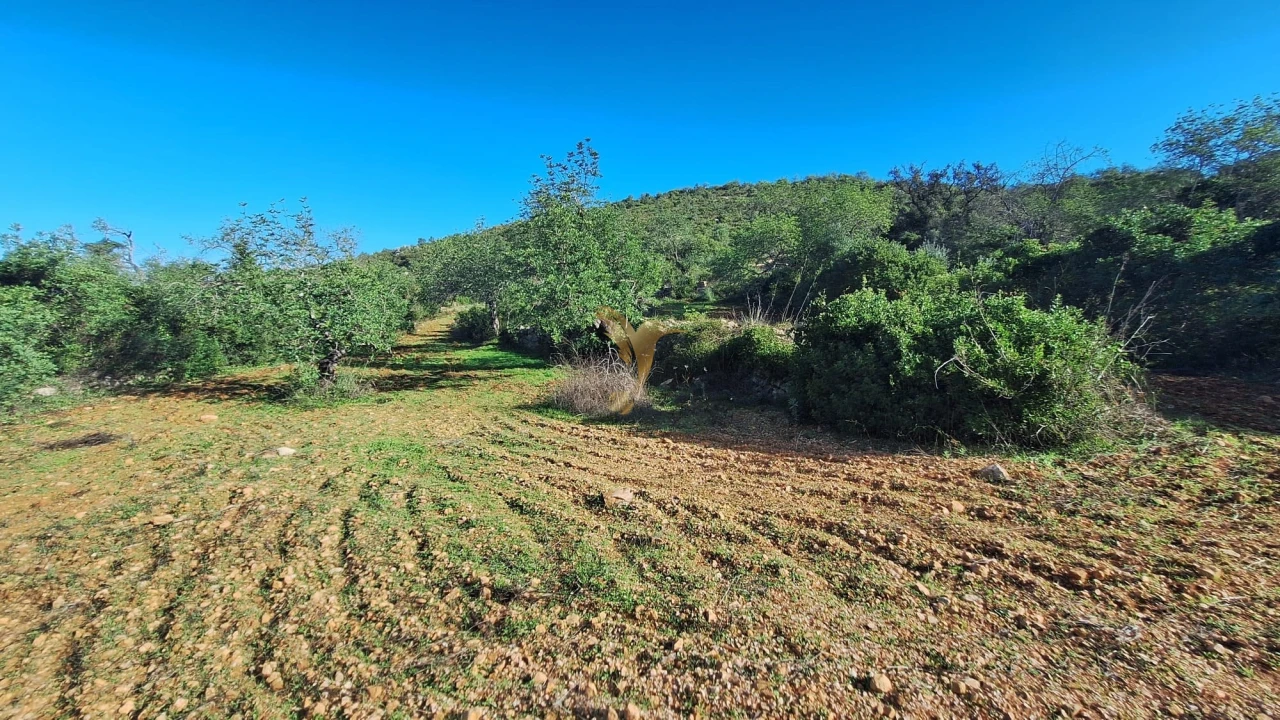 Terreno Agricola ou Rústico para Venda em Loule (São Sebastião) Foto 4