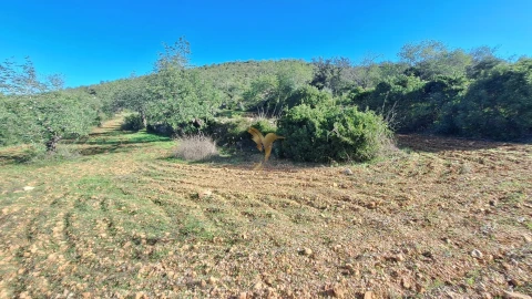 Terreno Agricola ou Rústico para Venda em Loule (São Sebastião)