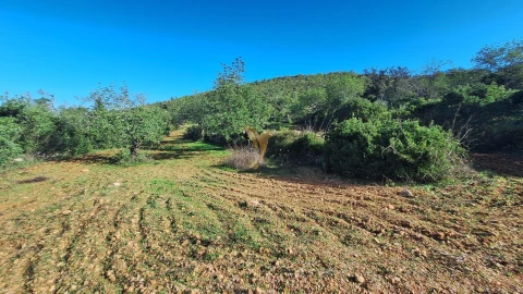 Terreno Agricola ou Rústico para Venda em Loule (São Sebastião)