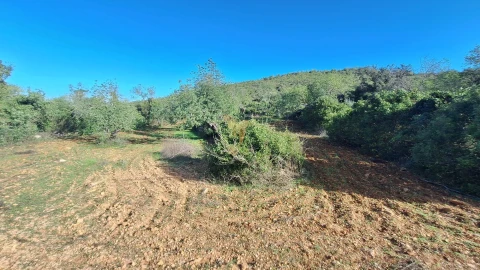 Terreno Agricola ou Rústico para Venda em Loule (São Sebastião)