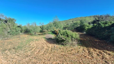 Terreno Agricola ou Rústico para Venda em Loule (São Sebastião)