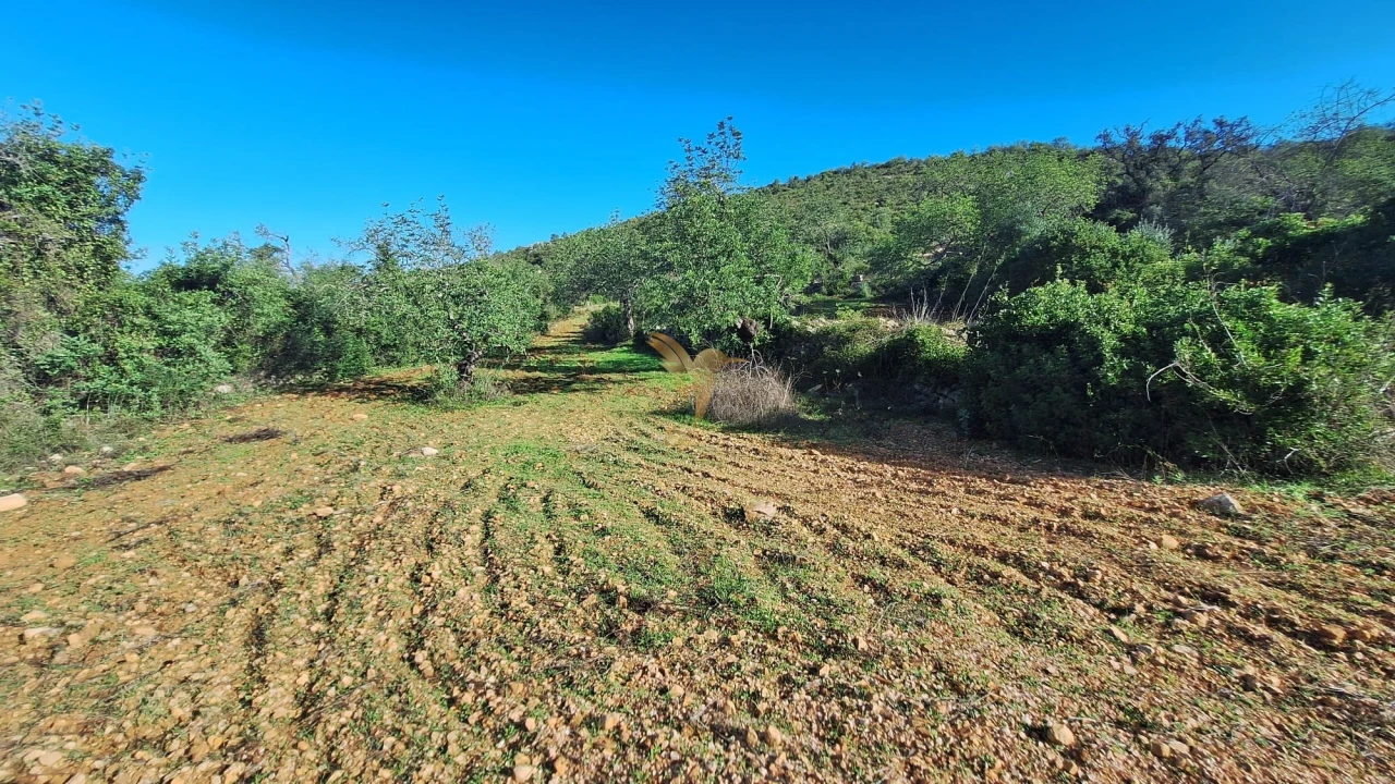 Terreno Agricola ou Rústico para Venda em Loule (São Sebastião) Foto 1
