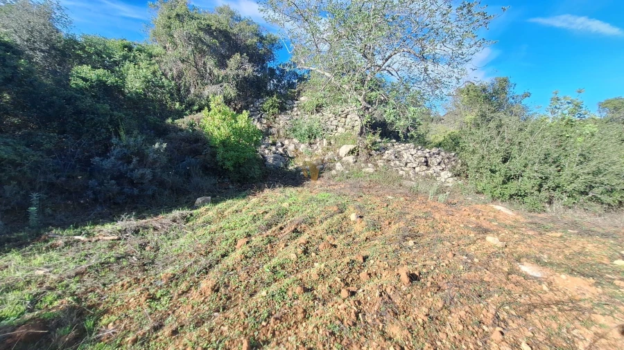 Terreno Agricola ou Rústico para Venda em Loule (São Sebastião) Foto 5