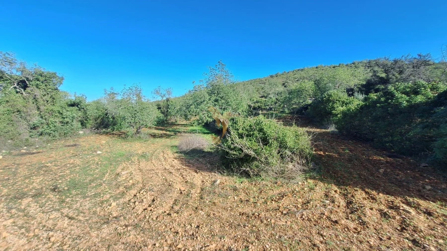 Terreno Agricola ou Rústico para Venda em Loule (São Sebastião) Foto 6