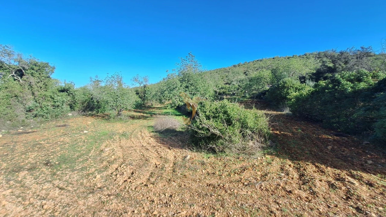 Terreno Agricola ou Rústico para Venda em Loule (São Sebastião) Foto 6