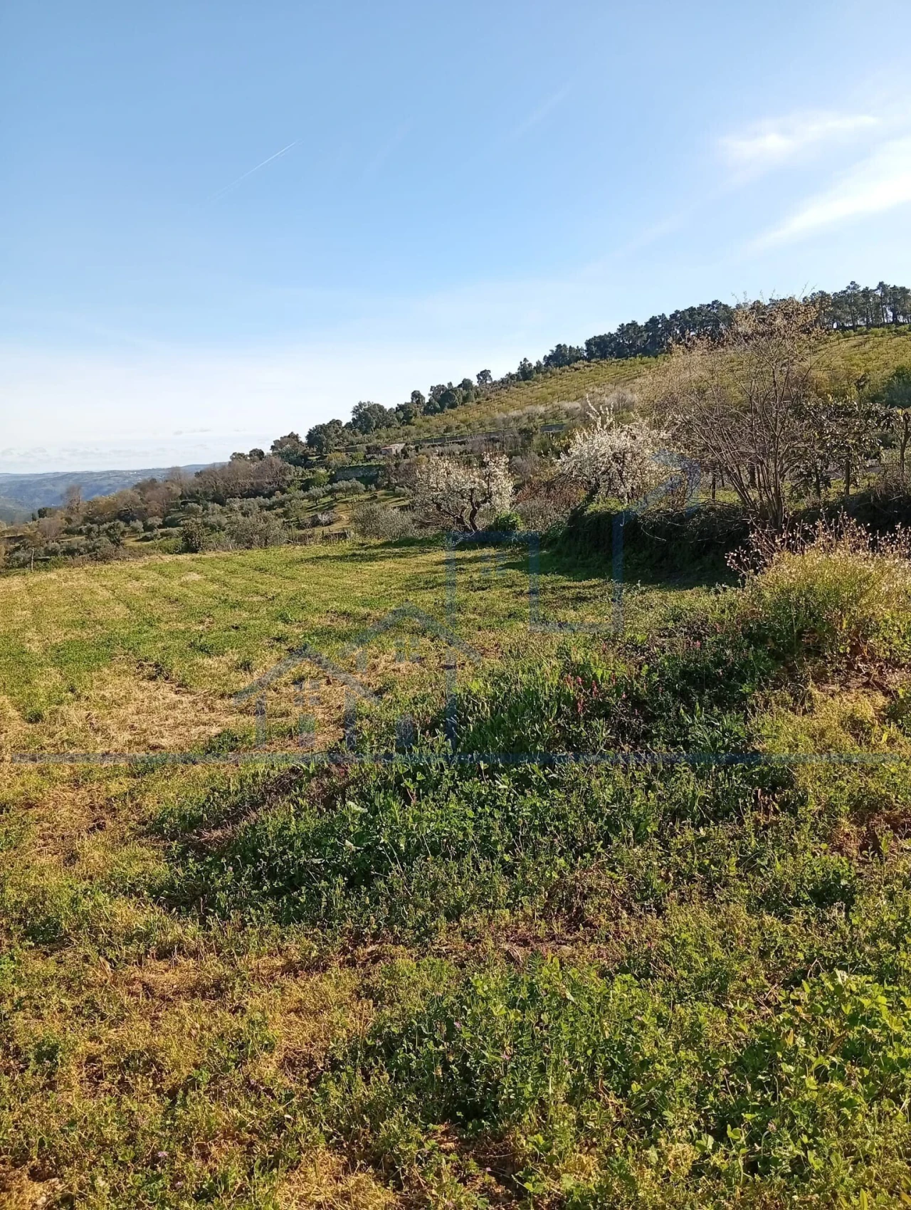Terreno para Venda em Felgar e Souto da Velha Foto 12