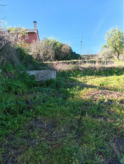 Terreno para Venda em Felgar e Souto da Velha