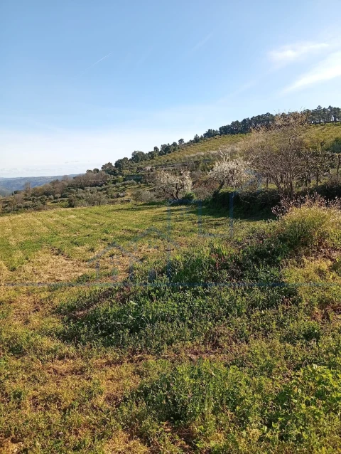Terreno para Venda em Felgar e Souto da Velha