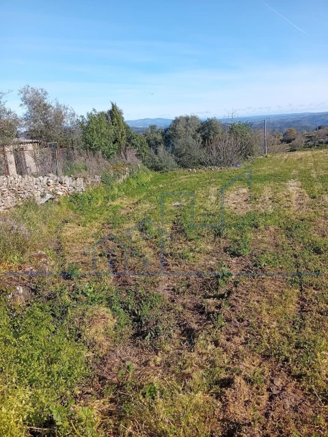 Terreno para Venda em Felgar e Souto da Velha