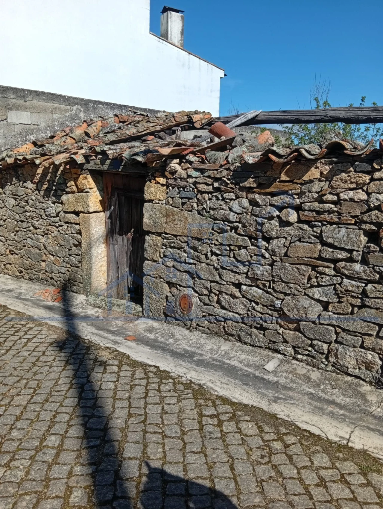 Terreno para Venda em Felgar e Souto da Velha Foto 2