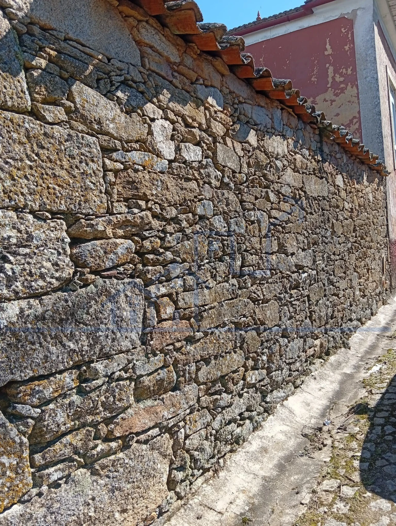 Terreno para Venda em Felgar e Souto da Velha Foto 5